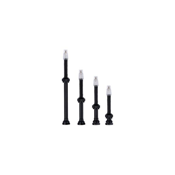 VISION TUBELESS VALVE - Ảnh 1